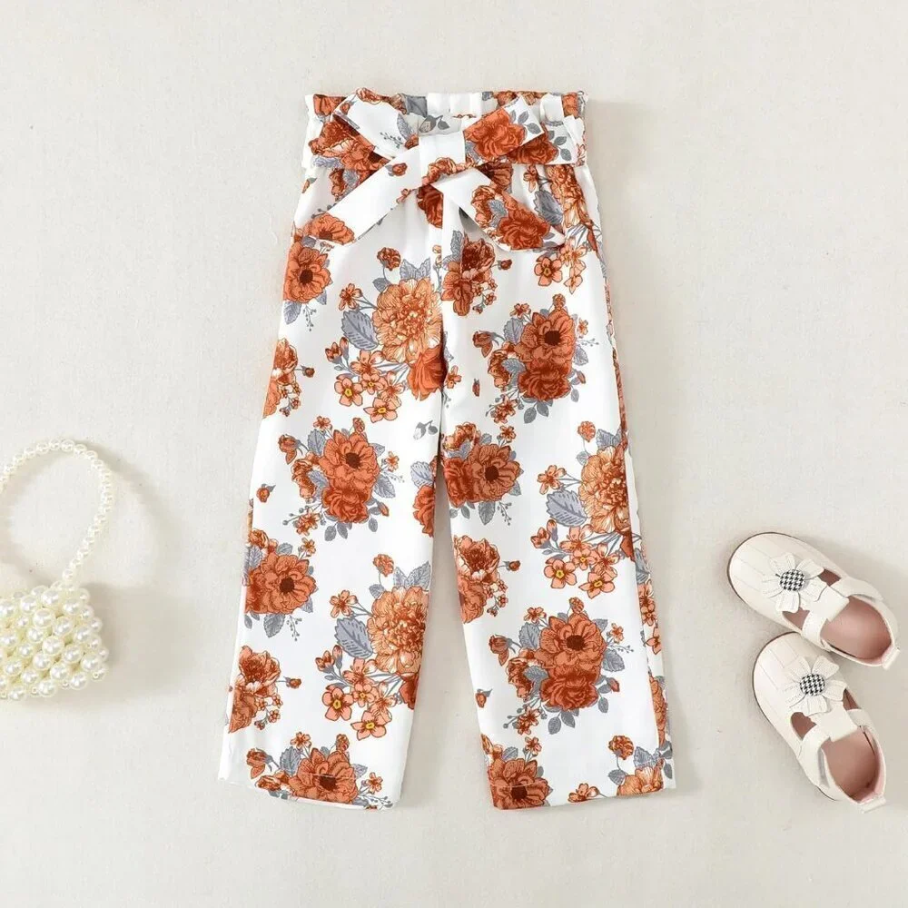 Little Girls Clothes 2 Piece Outfit Kids Long Sleeve T Shirt Pant Set Cute Fall